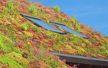 Five Wents living roof systems